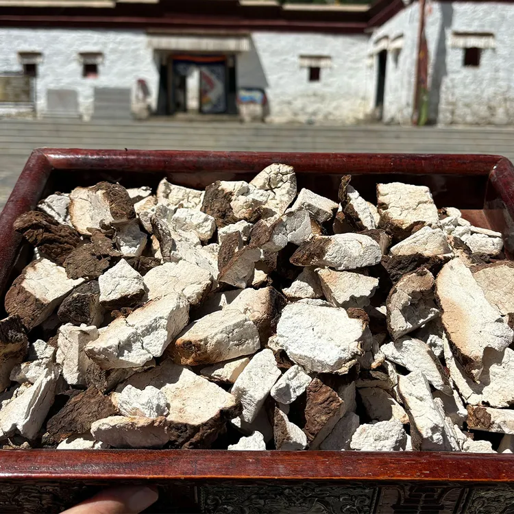 西藏发货茯苓250g当季新货久煮不散煲汤食材