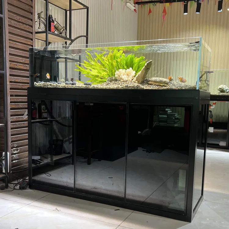 溪流侧背包底滤客厅家用超白玻璃兰寿泰斯鱼缸水族箱草缸造景