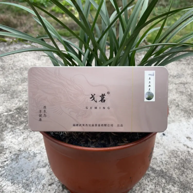 Ge Ming/戈茗 石上幽兰50g盒装（5克/10泡）贡眉2023年野小白送礼