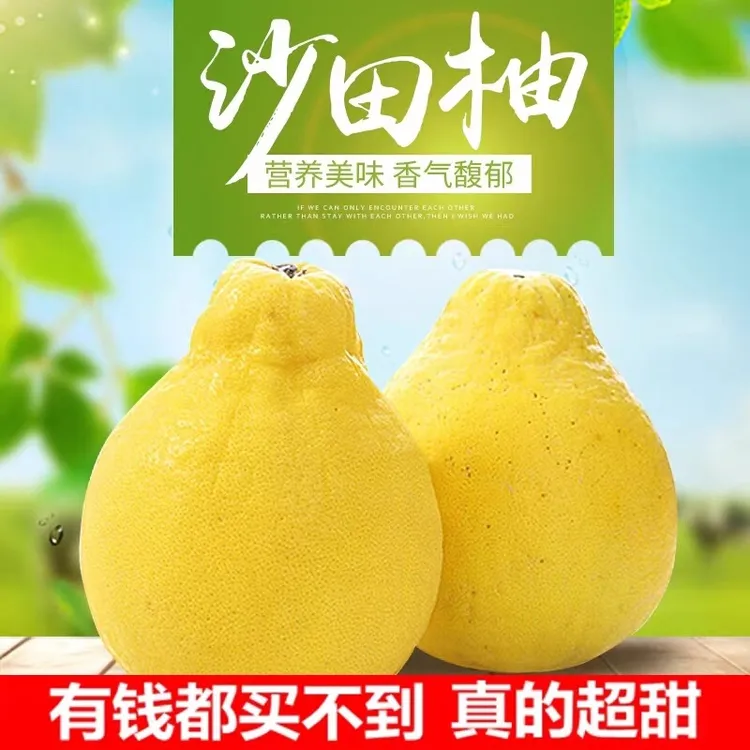 正宗梅州沙田柚纯甜无酸产地直发白心广东金柚