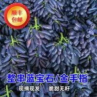 顺丰冷链【蓝宝石葡萄】新鲜头茬金手指美人指无籽葡萄应当季水果