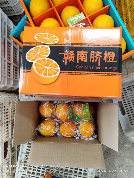 正宗江西赣南脐橙5斤精品果新鲜应季水果信丰产地甜手剥橙子