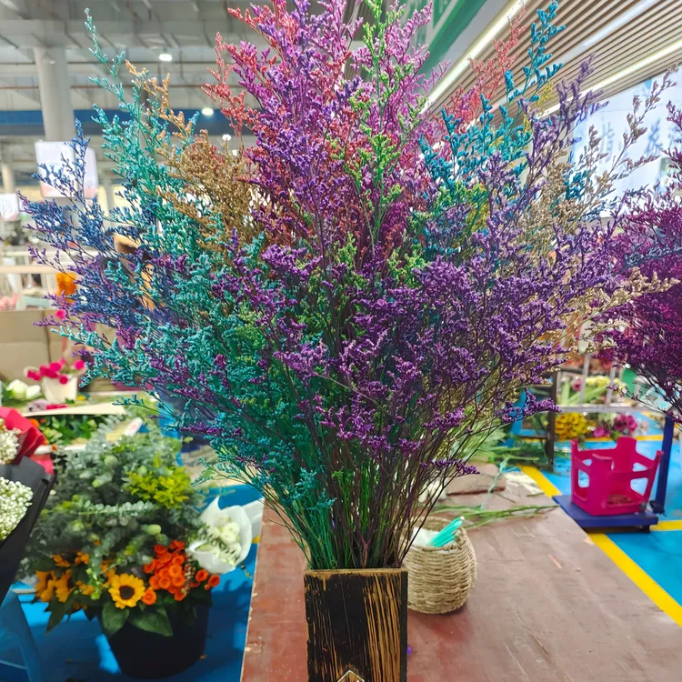 情人草 干花真花 美观漂亮蓝色紫色红色客厅装饰干花落地花瓶摆放