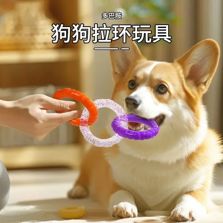 萌宠好物狗狗玩具弹力圈圈互动耐咬洁磨牙训练玩具拉环小狗玩具商品图