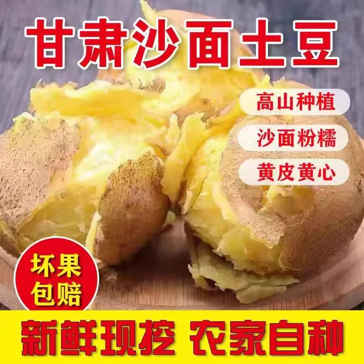 2024现挖新鲜甘肃定西旱沙地黄皮黄心土豆自种农家粉面软糯好吃