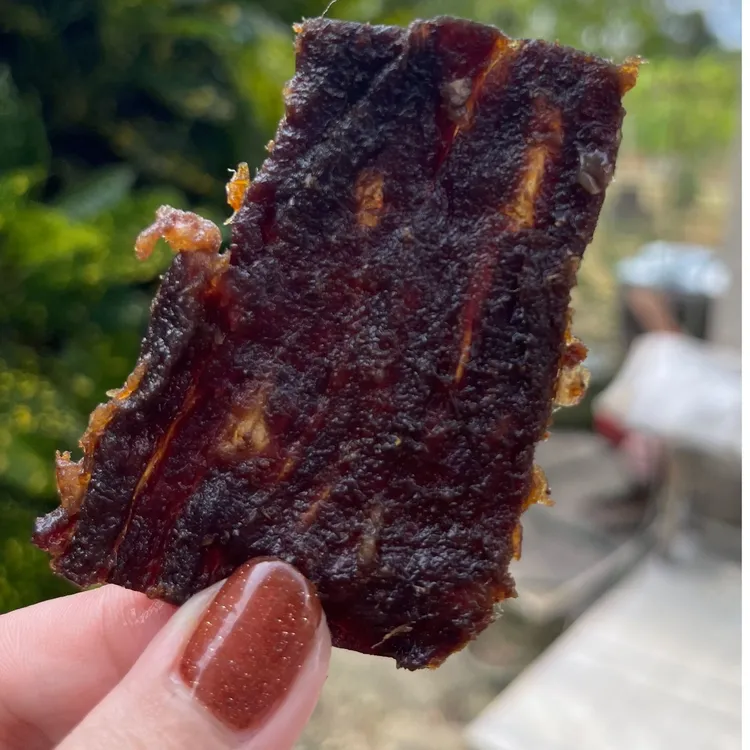 津津公平牛肉脯海丰特产