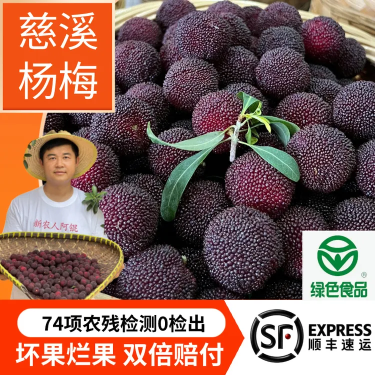［精品大果 ］慈溪杨梅216颗【净重5斤】浙江新鲜水果余姚顺丰冷链