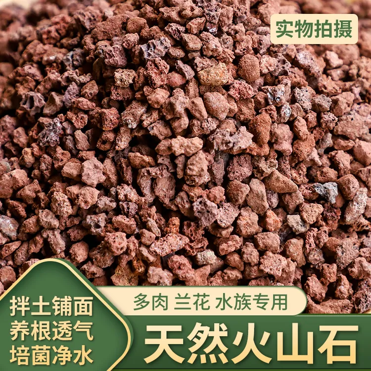 火山石颗粒多肉兰花专用营养土盆栽铺面石天然火山岩底砂使用造景