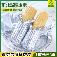 杨嘉庆东北白糯玉米 铝箔真空 黏糯玉米  软糯香甜  10支