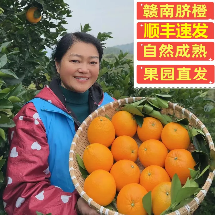 【橙子姐力荐】【顺丰包邮】江西赣南脐橙新鲜现摘带箱5-10斤手剥橙子