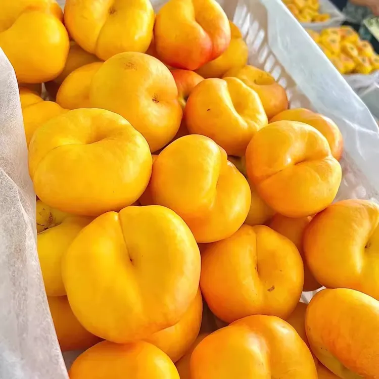 【香甜美味】蒙阴彩虹油蟠桃黄油蟠桃新鲜水果当季桃子黄金潘桃