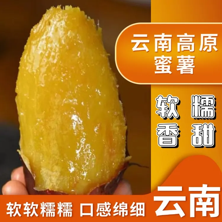 云南高原蜜薯软糯香甜现挖现发散货5斤/9斤精品礼盒装5斤农家自种