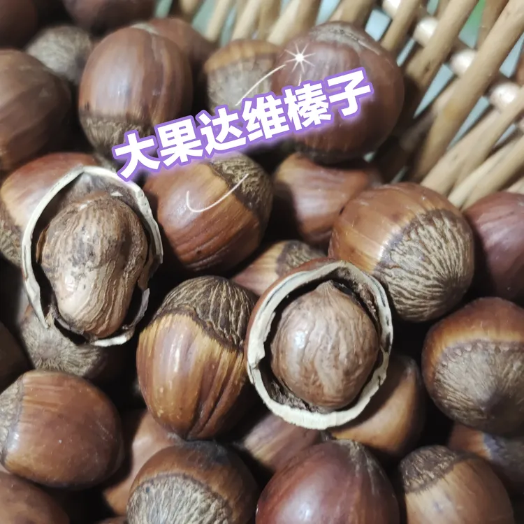 4斤装黑龙江大榛子S级山地玉坠纸皮榛子回甜/大果达维榛子酥香