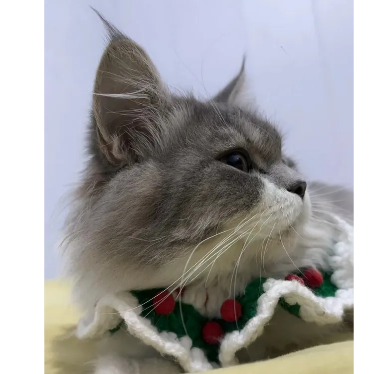 猫咪手工针织围脖纯手工个性潮流时尚