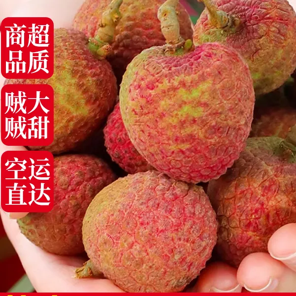 【新鲜荔枝】海南鲜荔枝新鲜水果香味香甜肉厚清甜空运发货应季采摘