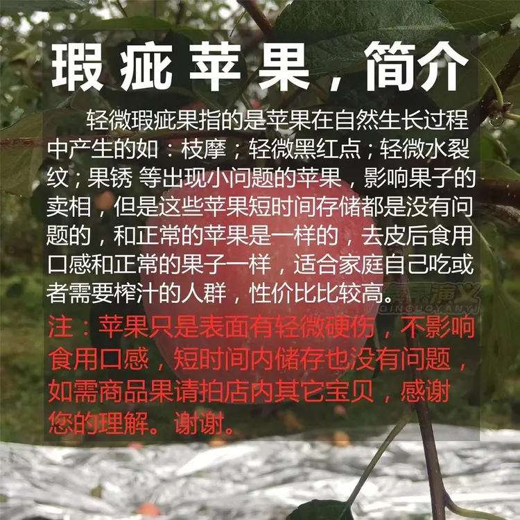 正宗河南灵宝寺河山丑苹果二级果红富士新鲜苹果批发一整箱清仓