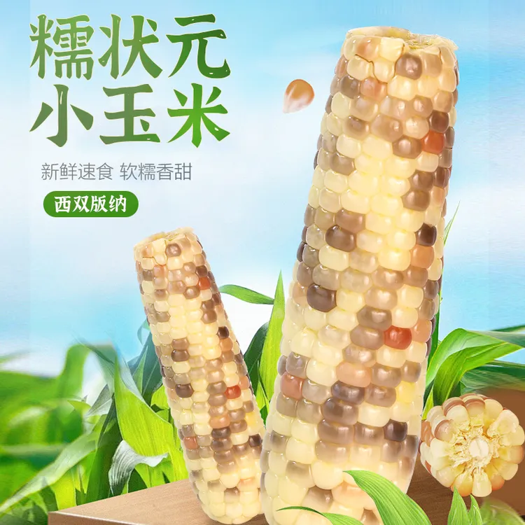 糯玉米西双版纳糯状元花糯玉米