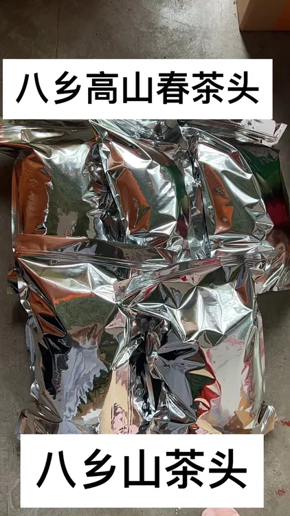 丰顺八乡高山云雾绿茶头袋子随机发货
