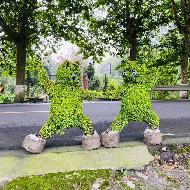 庭院绿植  各种常青动物造型