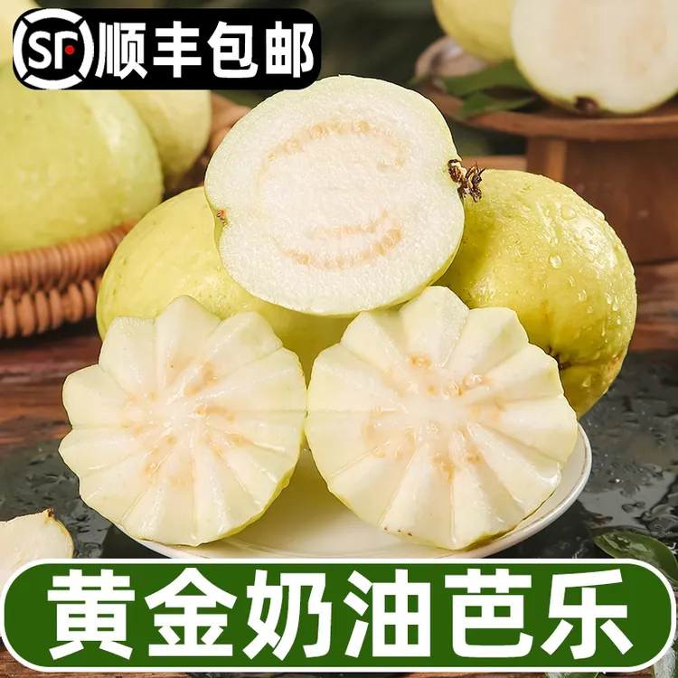 【顺丰包邮】黄金奶油软芭乐 当季新鲜水果新鲜采摘 番石榴3-5斤