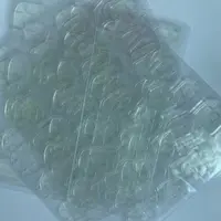 【喵爷】福利特价*大力黄胶 巨大巨粘果冻胶20片