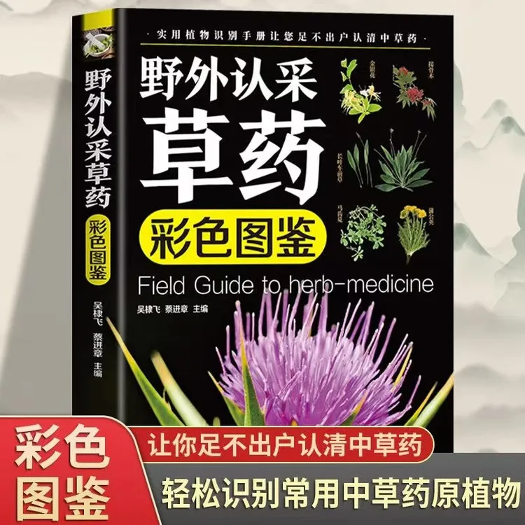 野外认采草药彩色图鉴 植物识别手册野外中药材中草药彩图大全6