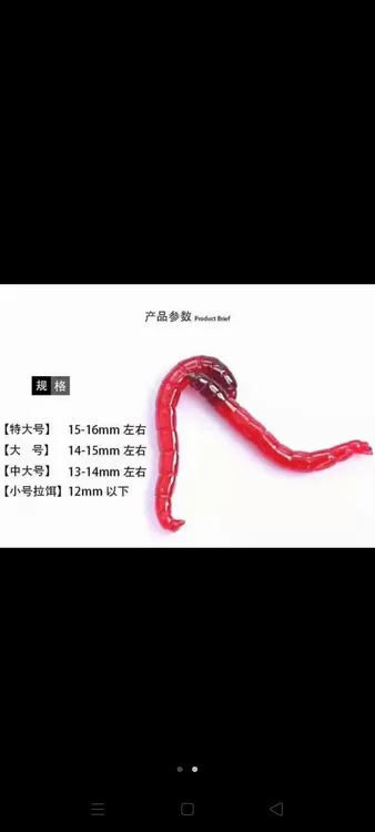 鲜活红虫大号活体活饵拉饵喂鱼野钓鲫鱼饵垂钓新鲜六角恐龙便宜