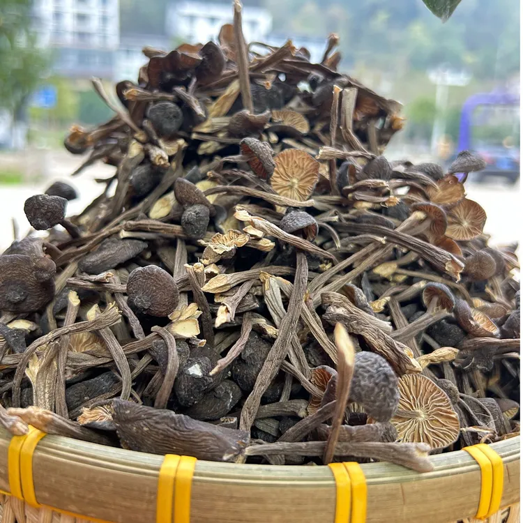 【小瞿助农】城口大巴山黑皮鸡枞