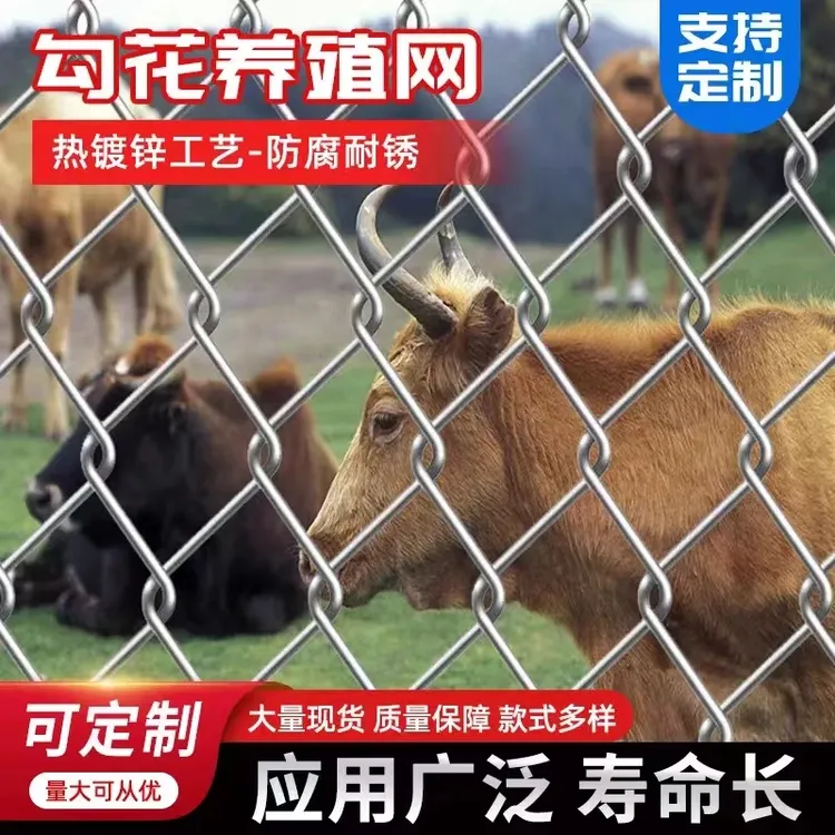 热镀锌铁丝网围栏网养鸡狗牛羊养殖网勾花网钢丝网户外防锈防护网