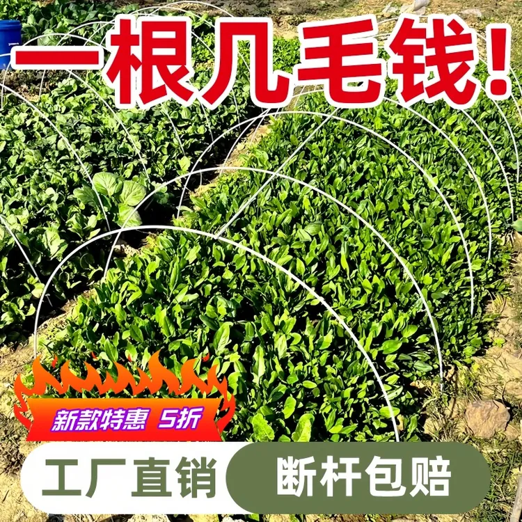 温室塑料蔬菜养殖小型大棚骨架玻璃纤维小拱棚实心杆塑料菜园地膜