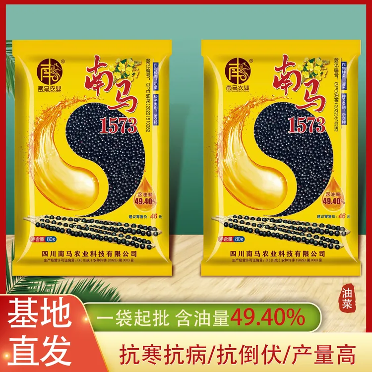 油菜种子高产四川南马1573甘蓝型杂交油菜籽矮杆抗倒伏高出油中熟