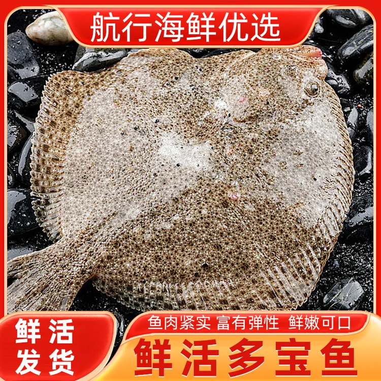 顺丰鲜活多宝鱼整条发