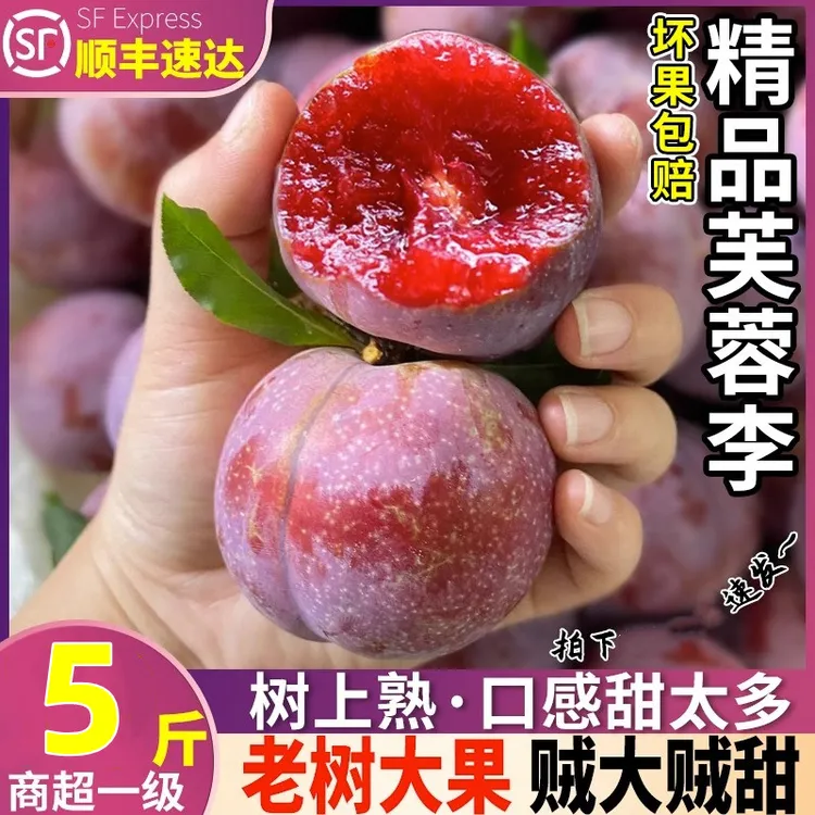 【顺丰冷链】正宗福建芙蓉李红心李子三华李1/3/5斤脆甜爽口升级中