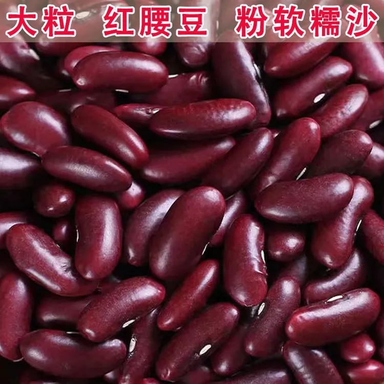 红腰豆新货大红豆五谷杂粮新鲜红芸豆红小豆芸豆正宗红豆红腰腰豆