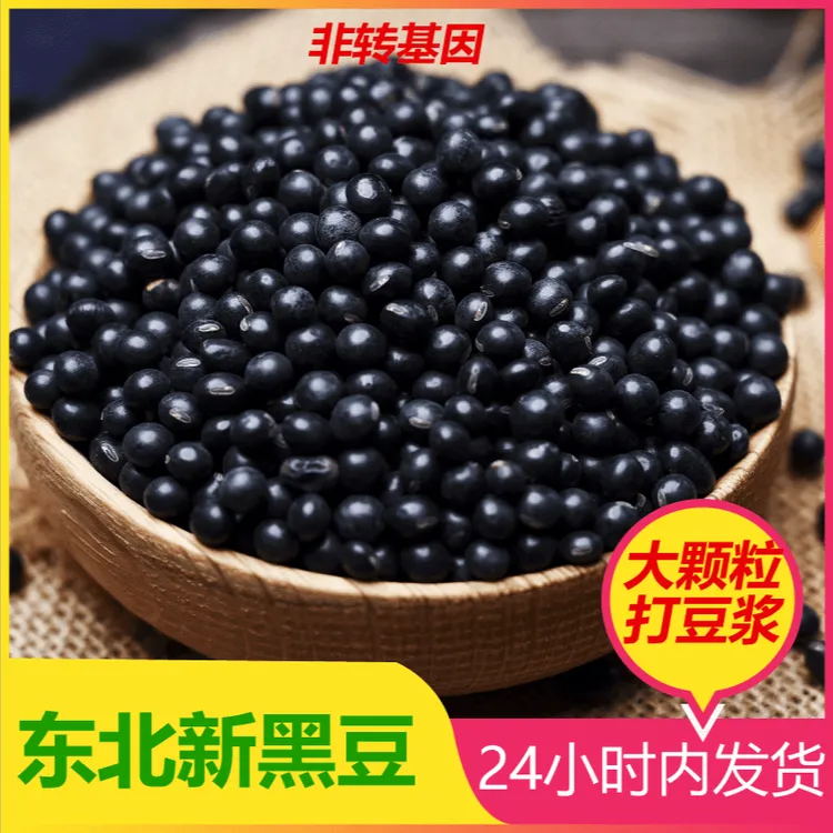 绿心黑豆新货豆浆非转基因黑豆100%纯黑豆醋泡黑豆当归绿心黑豆