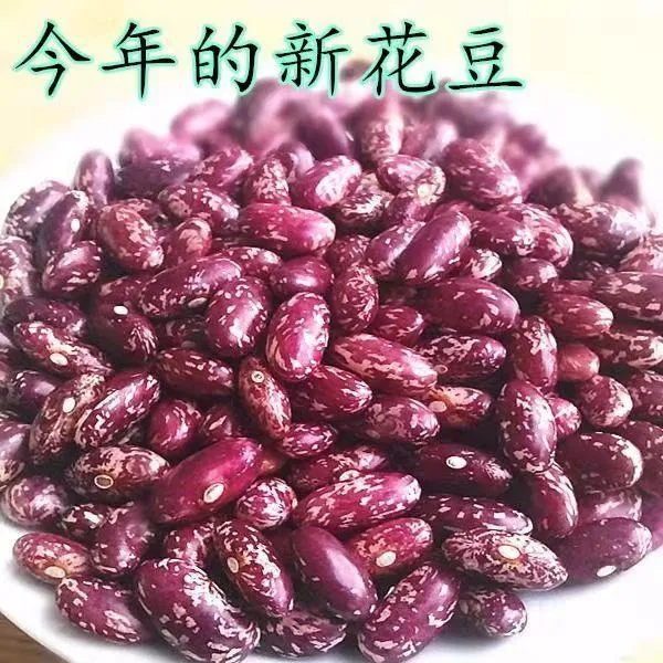 芸豆花芸豆红豆东北豆子五谷农家批发大豆扁豆白芸豆四季豆豆米