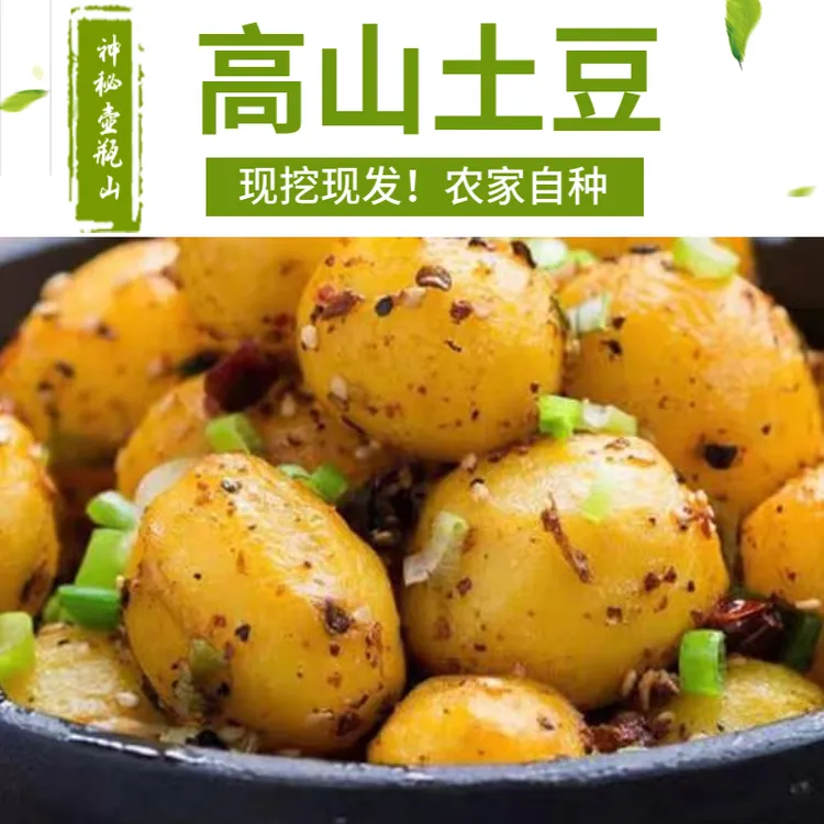 2025年湖南屋脊农家老品种新鲜土豆现挖现发皮薄美味软糯香甜