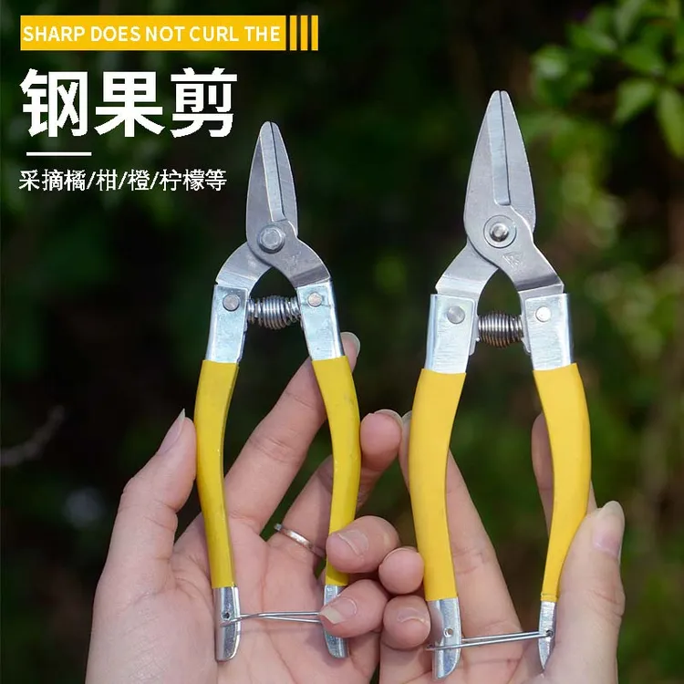 葡萄剪水果枝剪剪刀采果剪子弹簧修枝蔬果园艺疏摘果小剪树枝稀果