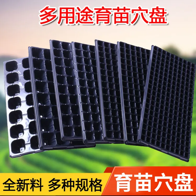 【5片装】多肉芽苗菜培育箱穴盘平盘种植育苗盘塑料多孔营养钵盆