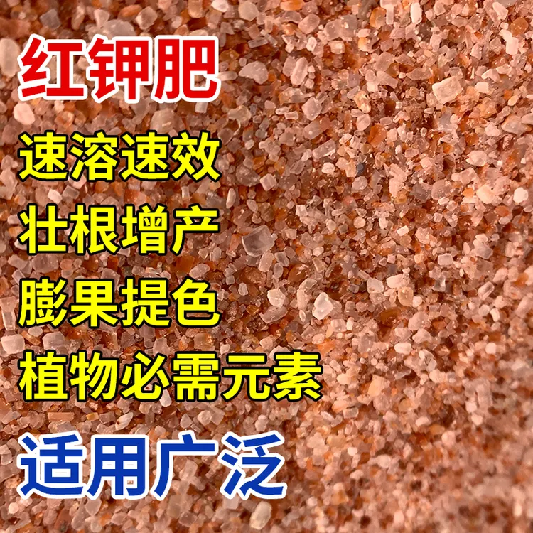 进口钾肥硫酸钾红钾叶面肥保花促果蔬水溶肥钾肥调水通用型