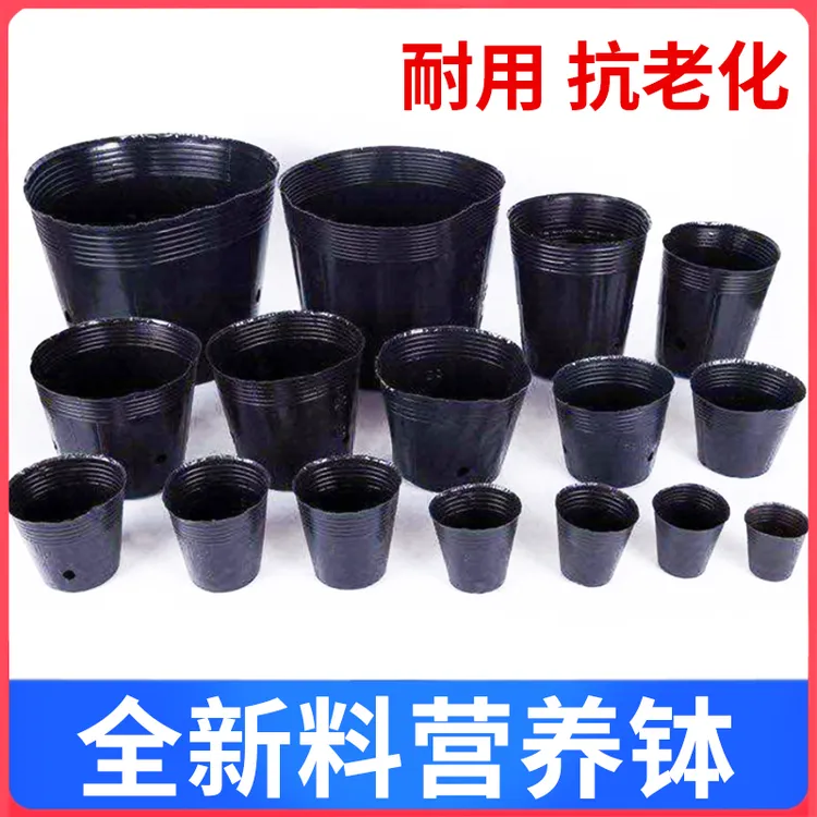 营养杯育苗盆育苗袋育苗杯育苗盒营养钵育种加厚培育一次性花盆