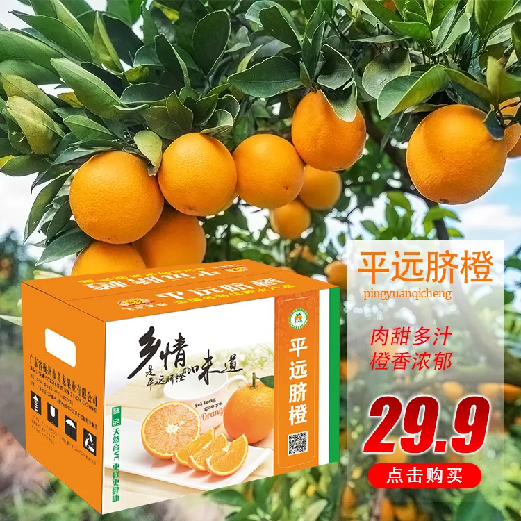 平远脐橙5斤装当季水果脐橙鲜甜多汁橙香浓郁酸甜原产地采摘