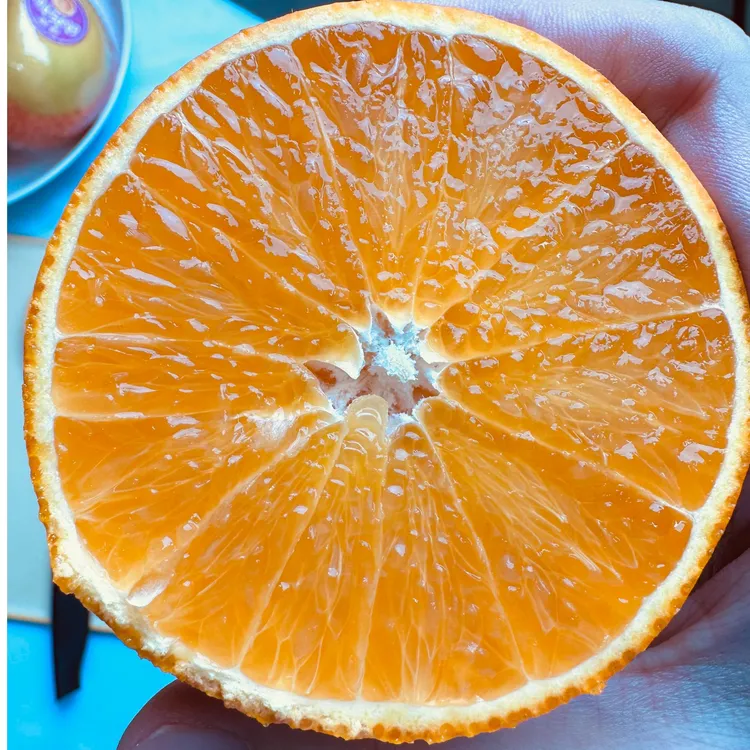 农笙记红美人柑橘毛重8斤装