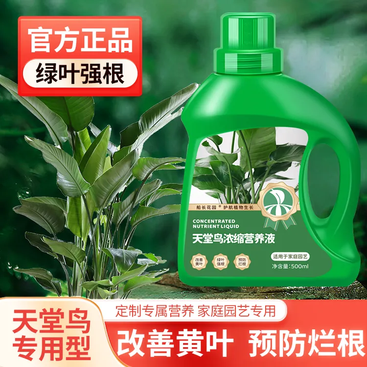天堂鸟专用营养液龟背竹琴叶榕鹤望兰大型绿叶植物养花肥料通用型