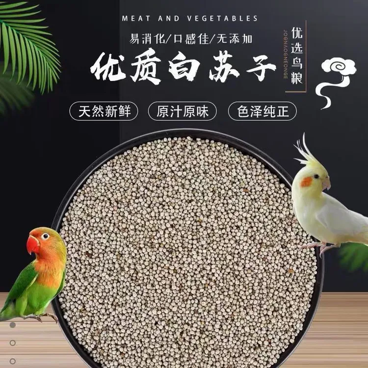 精选白苏子，鸟用食物