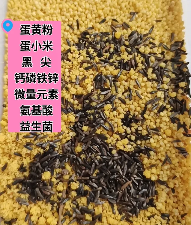 提旺三合一上旺猛料黑尖蛋黄粉蛋小米合一起加肠道健康料