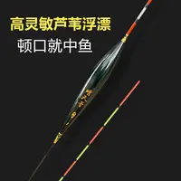 晴天哥栆核形芦苇浮漂醒目高灵敏底钓钓鱼加粗尾浮漂醒目
