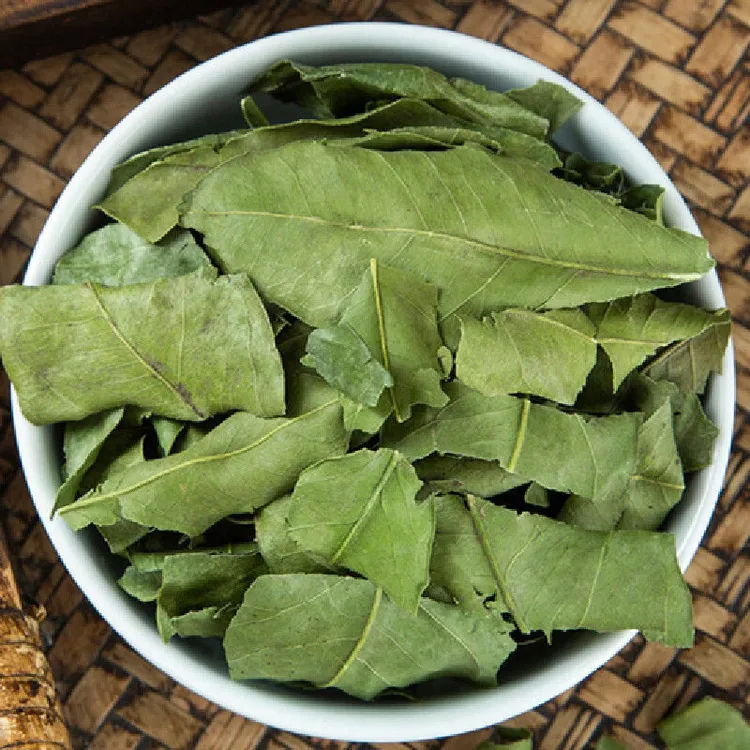 金橘叶正宗金橘叶干货农家金橘叶无硫250克-500克泡水包邮非荷叶