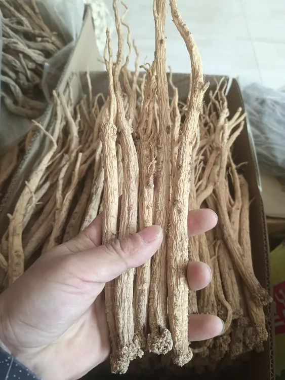 甘肃岷县种植党参。特大条三年生。无硫足干。食用泡酒泡水煲汤