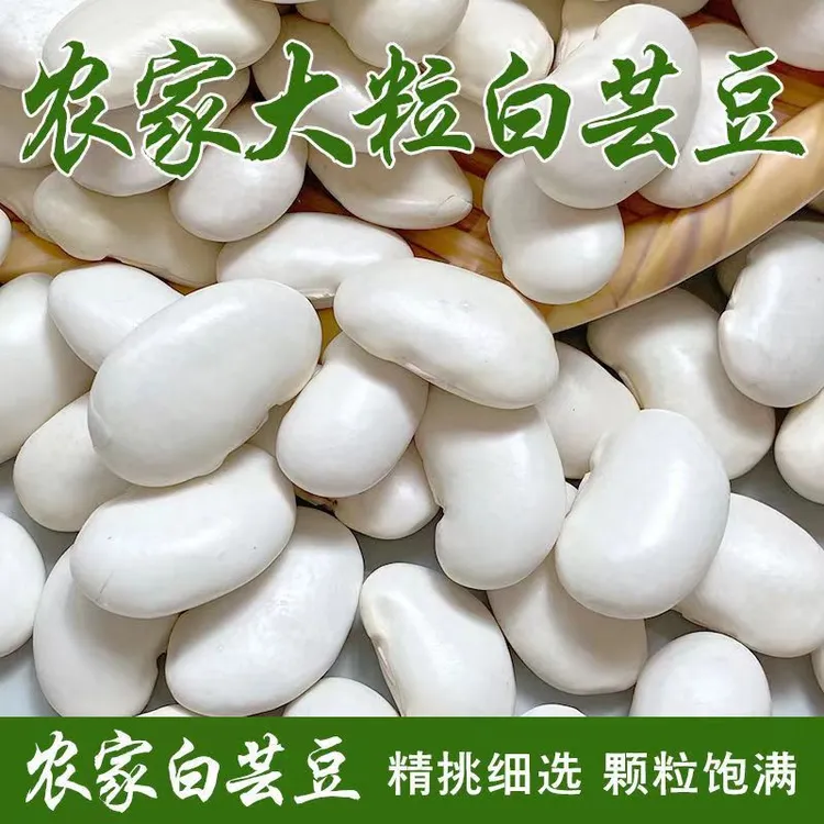 五谷杂粮农家白芸豆 大芸豆 大粒云豆大白豆大豆饱满农家精选发货